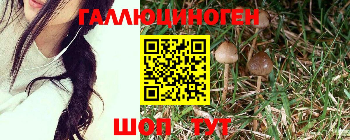 Миасс  Псилоцибиновые грибы GOLDEN TEACHER  Вход с VPN 